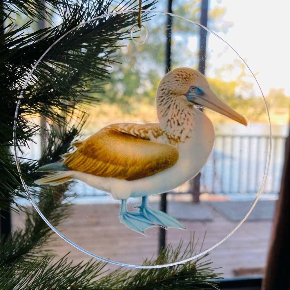 Blue-Footed Booby Bird Christmas Holiday Ornament bird watcher acrylic